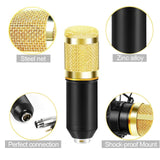 3.5mm Microphone Set