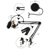 3.5mm Microphone Set
